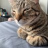 simone profil fotoğrafı