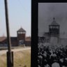 Фото профиля Auschwitz Memorial