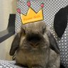和泉ユタカ 的头像