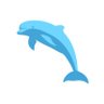 #savedolphin's profile picture