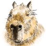 とも01's profile picture