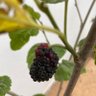 Фото профиля ابو فهد الباني