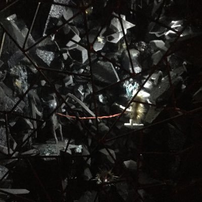 xgreyxshadowx's profile picture