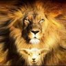 🇧🇷😎🙌🇮🇱🇺🇸👉's profile picture