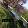 🌹 الله ربي 🌹 profil fotoğrafı