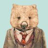 Gentle Wombat 的头像