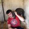 shaneoflynn's profile picture