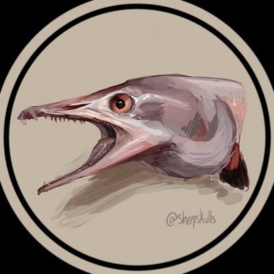 いほやきゅ's profile picture