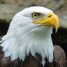 ncole profil fotoğrafı