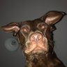 Profilbild von Gareth