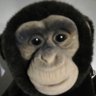 Chimp puppet 的头像