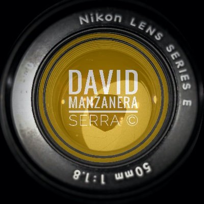 David Manzanera 🇪🇭 🌱🦇🦅🦂🦌's profile picture