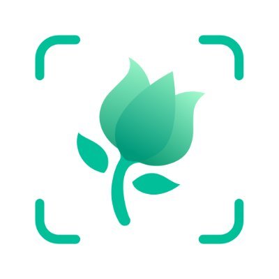 PictureThis's profile picture