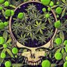 mike ruszczyk's profile picture