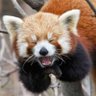 Yudai profil fotoğrafı