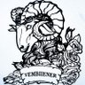 Jordan Vรจmbiiener's profile picture