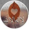 ابو يحي's profile picture