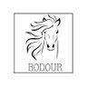 بُدور الـ🐎|🇸🇦 profil fotoğrafı