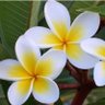 Фото профиля Santa Barbara