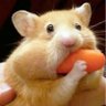 Lgpguin's profile picture