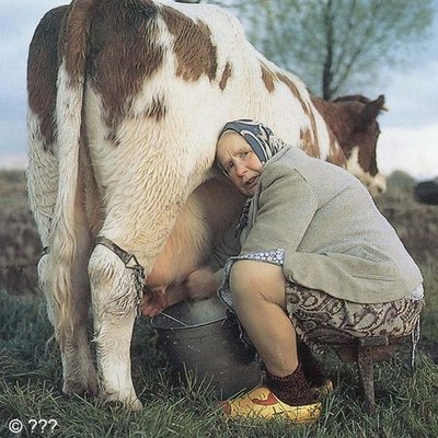 Hendrika's profile picture