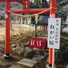 Фото профиля 米川 信之