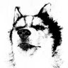 Sam02000067💙💛 profil fotoğrafı