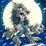 Profilbild von wolf-0077