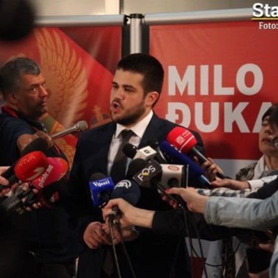 Miloš Nikolić's profile picture