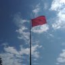 Lemontree 🇹🇷 🇦🇿🇵🇸 profil fotoğrafı