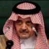 Фото профиля رامي الغامدي