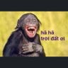 Profilbild von thainguyen