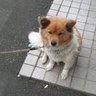 かずき's profile picture