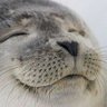Profilbild von しもさん