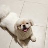 ofplotsandtwists 的头像