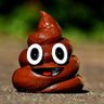 Profilbild von aralewc