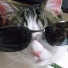 michi's profile picture
