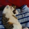 うみたん profil fotoğrafı