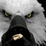 Major55's profile picture