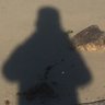 ãã ãŒ's profile picture