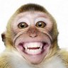 Profilbild von ucup