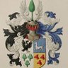 holender-Juan 🇳🇱 🇵🇱 的头像
