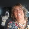 Ligia coppetti's profile picture