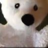 PoleyThePolarBear profil fotoğrafı