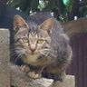 みり profil fotoğrafı