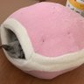 ありんこ's profile picture