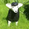Bernd B.'s profile picture