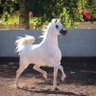حسن المالكي profil fotoğrafı