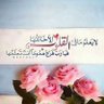 Mhd Ibrahim Alshami's profile picture