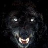 Profilbild von Crni Vuk